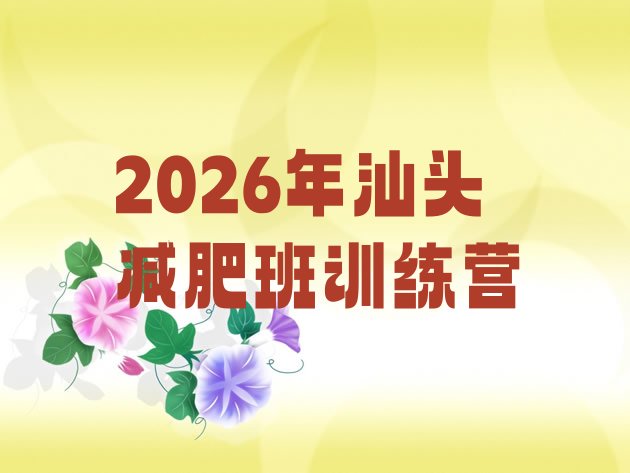 十大2026年汕头减肥班训练营排行榜