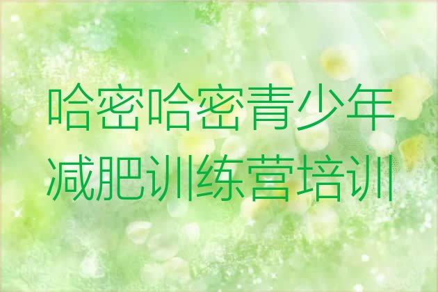 十大2026年哈密减肥营价格排行榜