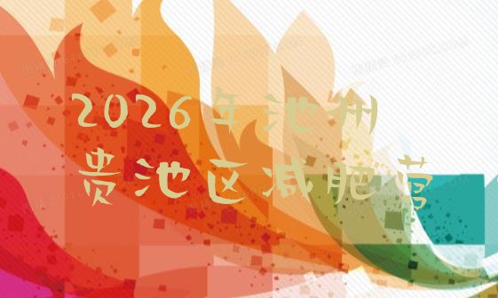十大2026年池州贵池区减肥营排行榜