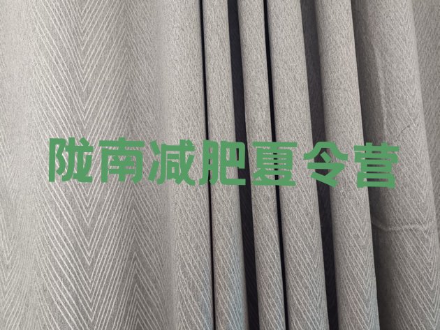 十大2026年陇南减肥训练营价格多少排行榜
