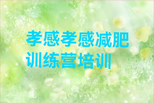 十大孝感减肥营排行榜