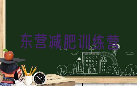 十大2026年东营一月减肥训练营排行榜