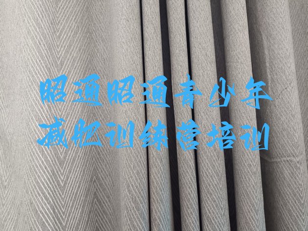 十大2026年昭通减肥魔鬼式训练营排行榜