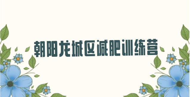 十大2026年朝阳龙城区参加减肥训练营十大排名排行榜