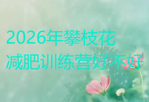 十大2026年攀枝花减肥训练营好不好排行榜