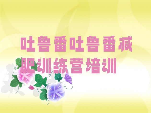 十大2026年吐鲁番减肥达人训练营价格实力排名名单排行榜