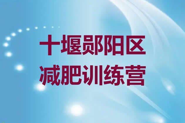 十大2026年十堰郧阳区减肥达人训练营价格十大排名排行榜