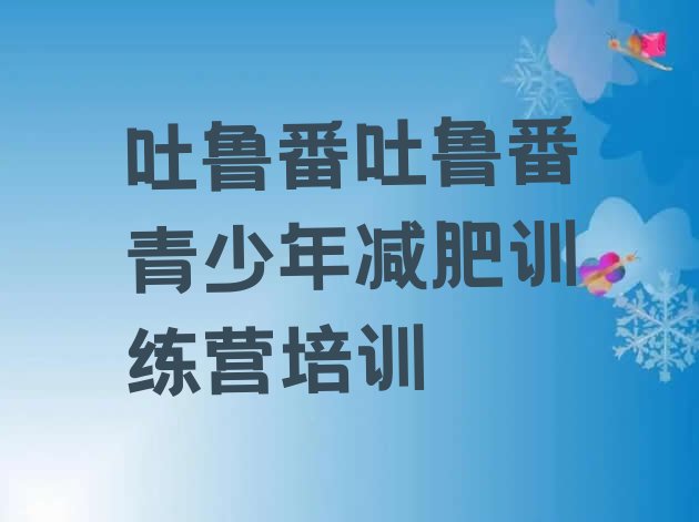 十大2026年吐鲁番减肥达人训练营收费排行榜