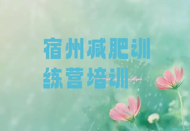 十大2026年宿州埇桥区42天减肥训练营十大排名排行榜